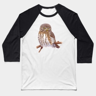 Eurasian Pygmy Owl Baseball T-Shirt